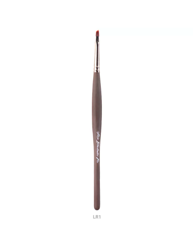 Pennelli Skin Illustrator LR Series trucco FX professionale fibra sintetica