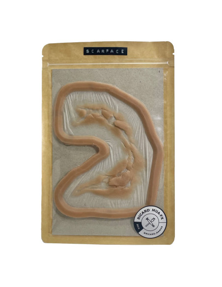 Prothèse silicone platine Scarface lacération faciale effets spéciaux FX