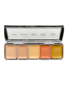 Paleta maquiagem álcool cobre tatuagens Skin Illustrator 5 tons pele 2