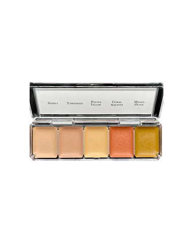 Palette maquillage alcool couvre tatouages Skin Illustrator 5 teintes peau