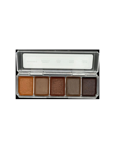 Paleta maquillagem álcool Deep Tone 5 cores escuras pele silicone látex