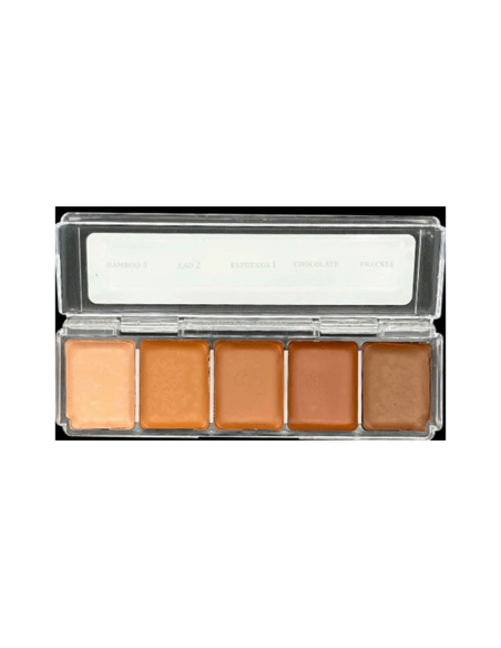 Paleta maquillaje alcohol Skin Illustrator Mini Tan Tone 5 piel silicona
