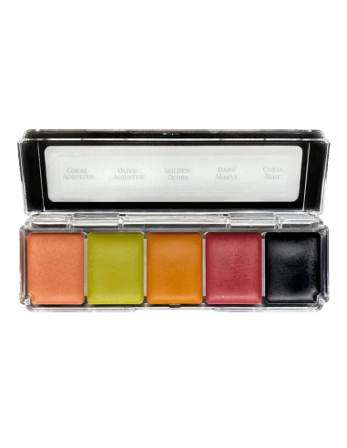 Alkohol-Make-up-Palette Skin Illustrator 5 Korrekturtöne FX