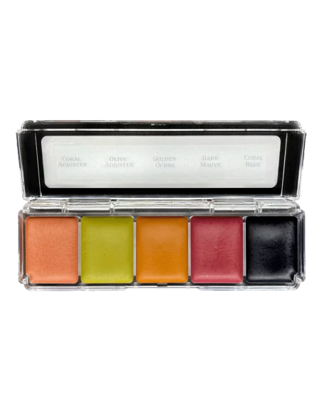 Palette maquillage alcool Skin Illustrator 5 couleurs correctrices FX