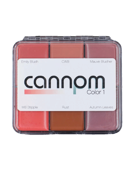 Paleta maquilhagem gordurosa Skin Illustrator Greg Cannom 6 cores pele silicone