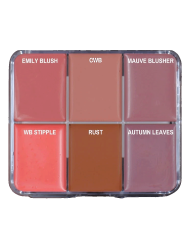 Palette trucco grasso Skin Illustrator Greg Cannom 6 colori pelle silicone