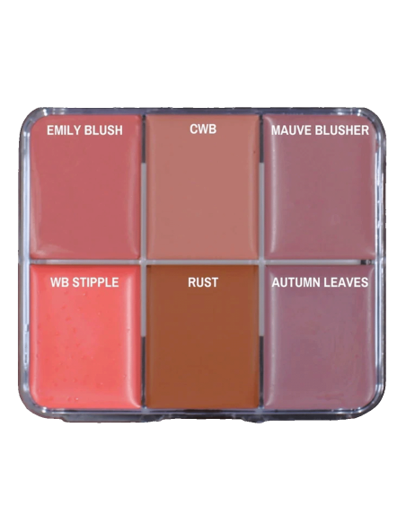 Palette trucco grasso Skin Illustrator Greg Cannom 6 colori pelle silicone