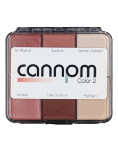 Skin Illustrator Sur le...