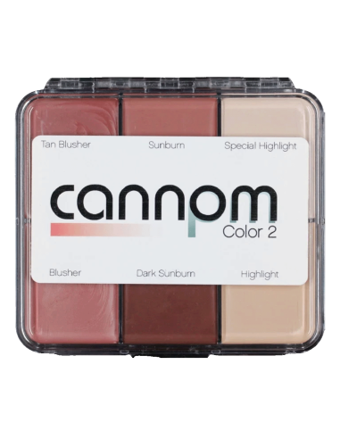 Palette trucco grasso Skin Illustrator Greg Cannom Color 2 pelle silicone