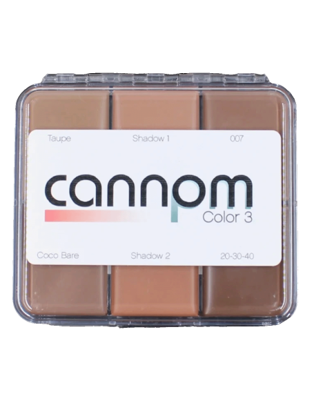 Palette trucco grasso Skin Illustrator Greg Cannom Color 3 pelle silicone