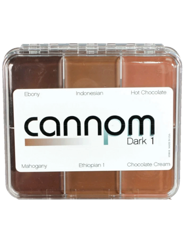 Palette maquillage FX Skin Illustrator Greg Cannom Dark 1 couleurs foncées