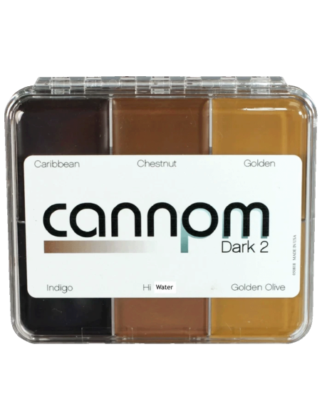 Paleta maquillaje graso Skin Illustrator On Set Greg Cannom Dark 2 piel látex