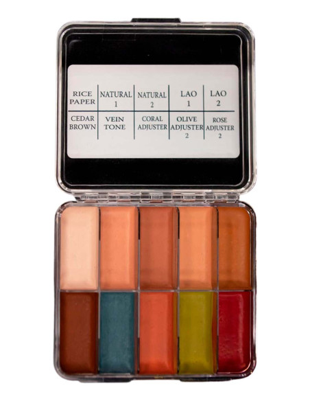 Palette maquillage alcool Skin Illustrator 10 tons chair peau silicone latex