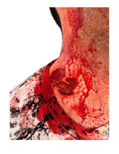 Prótesis silicona mordisco The Bite maquillaje FX cine teatro Halloween 2