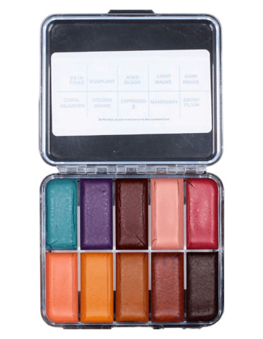 Paleta maquilhagem álcool Skin Illustrator Harder Fall tons escuros pele