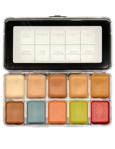 Paleta maquillaje SFX 10 tonos carne reemplazables piel silicona látex - Cell Palette 10  2