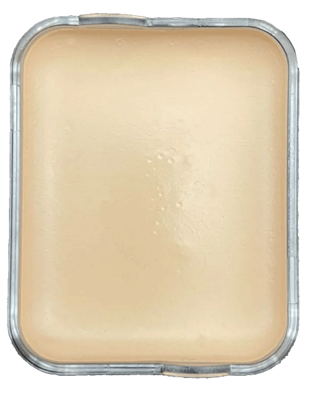 Palette maquillage SFX 10 tons chair remplaçables peau silicone latex - Rice Paper