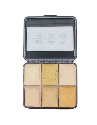 Alkohol-Make-up-Palette Hair Illustrator warme Blondtöne Haar Silikon