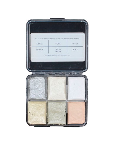 Alkohol-Make-up-Palette Haaralterung 6 Farben Haut Silikon
